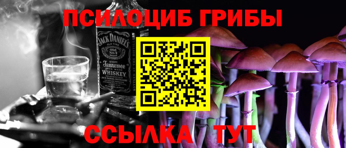 Псилоцибиновые грибы Psilocybe  Вход с VPN  Чайковский 
