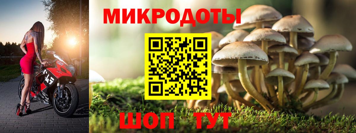 Псилоцибиновые грибы ЛСД Чайковский